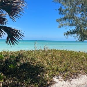 Meet your Posher, Lola